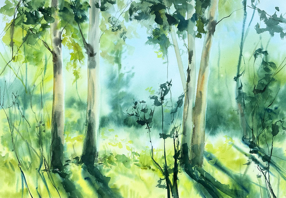Licht und Schatten