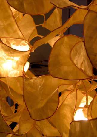 Structure_lumineuse_pétale__2.JPG