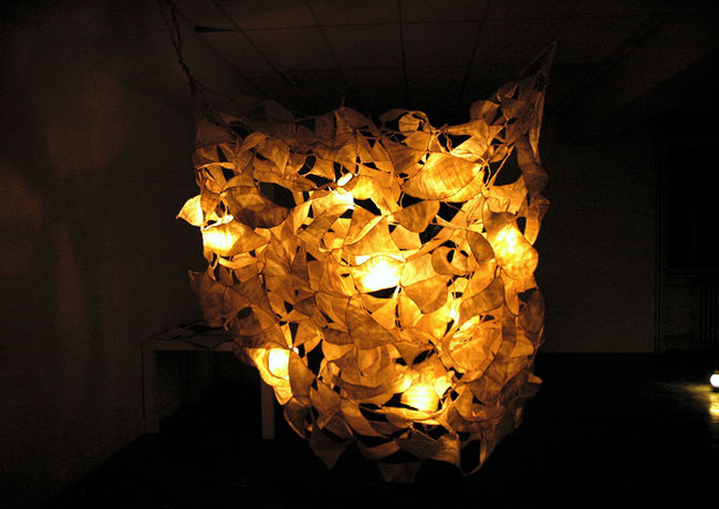 Structure_lumineuse_pétale__DSC0020.JPG