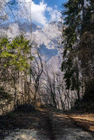 valle dell'ardo, bus del buson e pont de la mortis