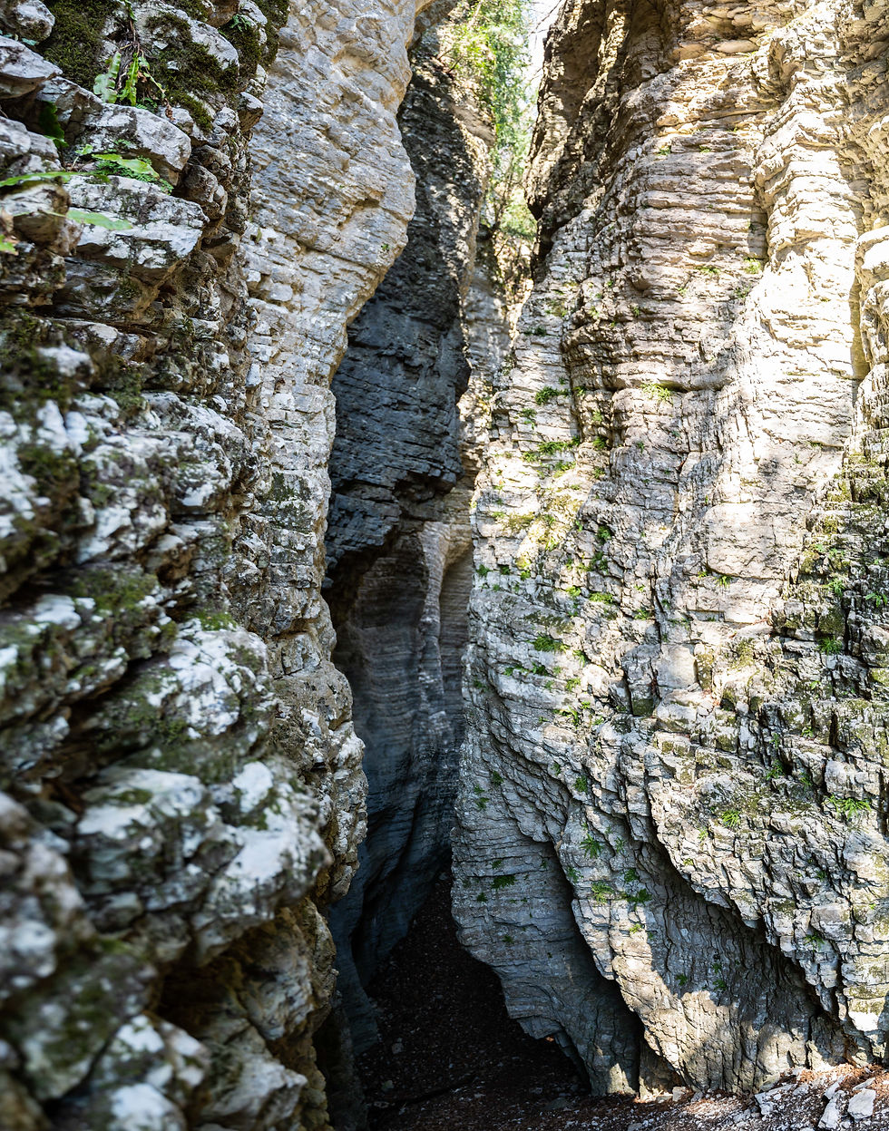 valle dell'ardo, bus del buson e pont de la mortis