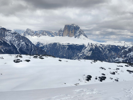 ciaspolata al monte specie