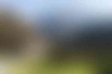 valle dell'ardo, bus del buson e pont de la mortis