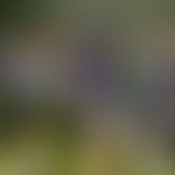 Il principio dei sogni: Alta via delle Dolomiti n. 1