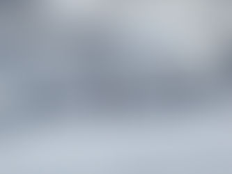 Ciaspolata al monte Specie