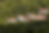 73.png