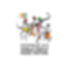 St. Kitts Music Festival