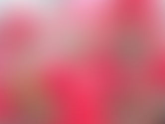 Erno Labega, Cleo Carti & Scotiabank selected as 2016 Honorees