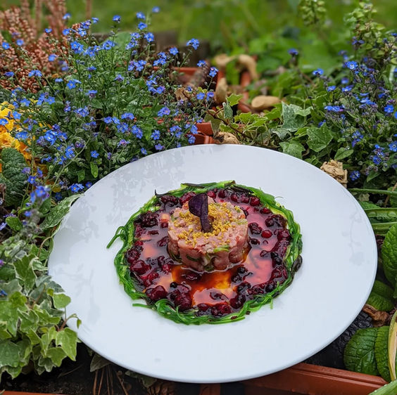 Tartare de truite valaisanne, baies et herbes sauvages