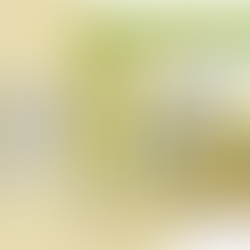 Easy Spring Bunny Card: Video Tutorial | Paper Rose Studio