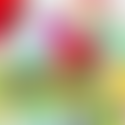 Crafting with RubberStamps.com: My March Craft Month Challenge Project