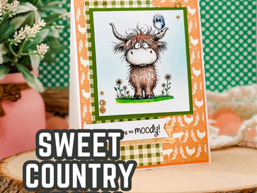 Seen & Herd Stamp Set Card Idea | Easy Farm-Themed Handmade Card