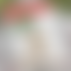 Handmade Christmas Card Idea | Gingerbread Greetings Series