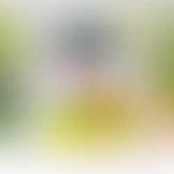 Create a Whimsical Birthday Card Using Pixi Dust Designs Dies and Pattern Paper