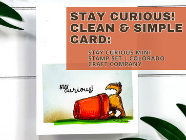 Stay Curious! Clean & Simple Card: Stay Curious Mini Stamp Set | Colorado Craft Company