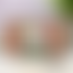 WHIMSICAL Woodland Christmas Flying Seagull Fun Fold Card with Paper Rose Studio