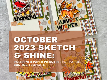 October 2023 Sketch & Shine Pattern Paper Picks