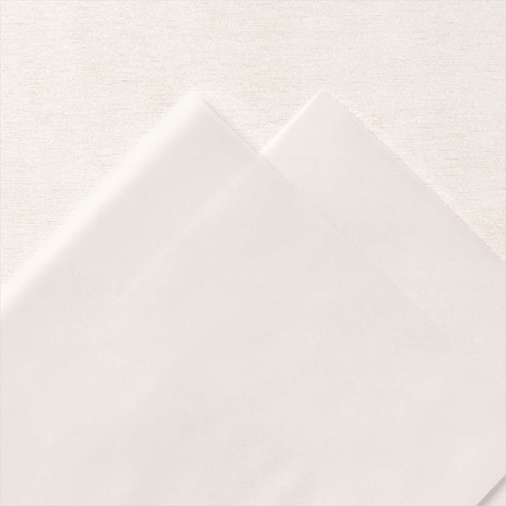 Vellum Cardstock