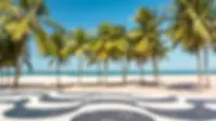 beach.webp