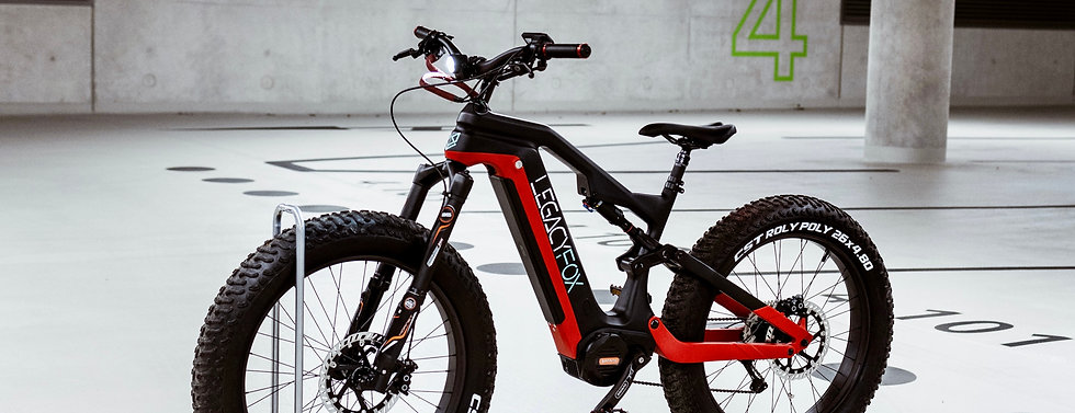 DELTA FATBIKE 10G