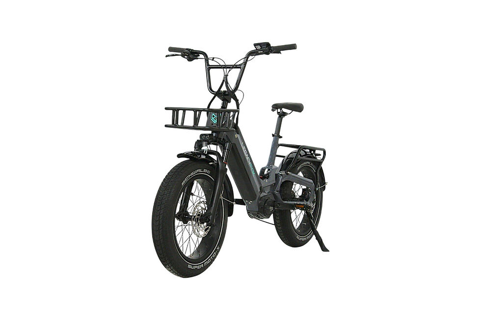 Miniaturbild: ROADSTAR TE CARGO 