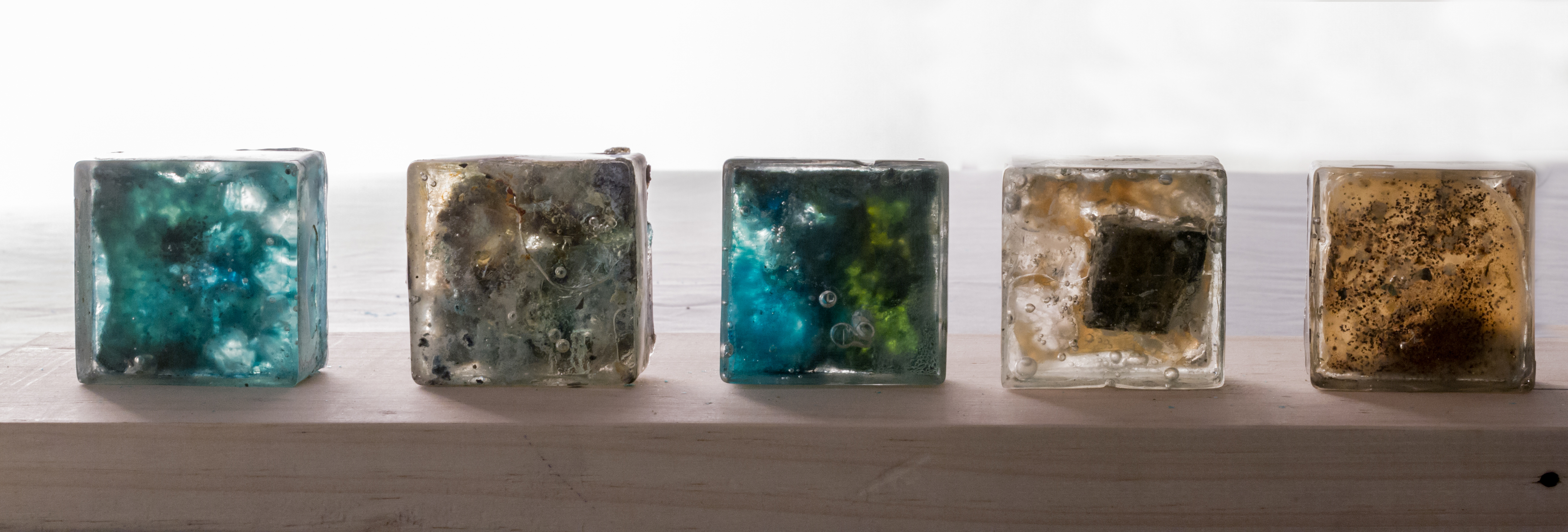 Microcosm 2 Detail 1