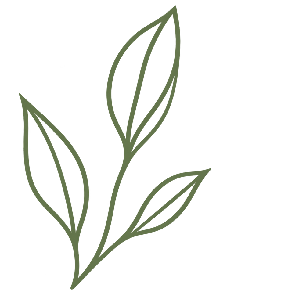 ChatGPT Image Sep 6, 2026, 07_22_36 AM.png