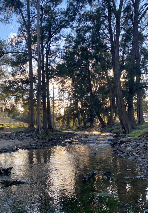 The creek is a great spot for a swim, to sit by, picnic at or take a cold plunge early in the morning.