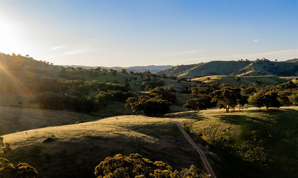 rove_retreat_oct 2025_388.jpg