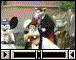scenes_eisnertigertownbasilratigancameo.gif