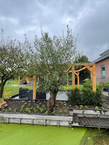 PHOTO-2022-10-18-16-49-01 9.jpg