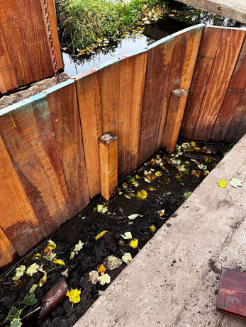 PHOTO-2022-11-08-12-36-00 19.jpg