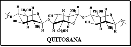 Um Futuro Sustentável: Como a Quitosana Está Transformando a Agricultura