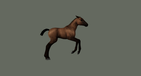 ch_foalpose17_sw.png