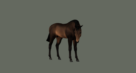 ah_EQHDweanling8_sw.png