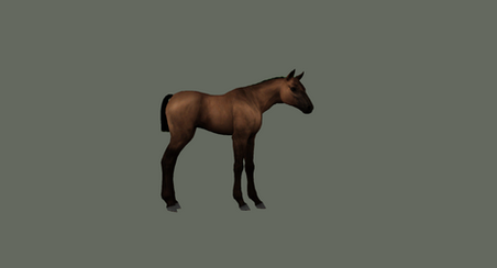 ch_foalpose4_sw.png