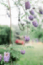 Willow Britt Studios