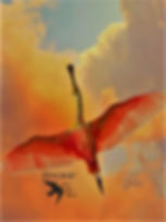 Stork flying free