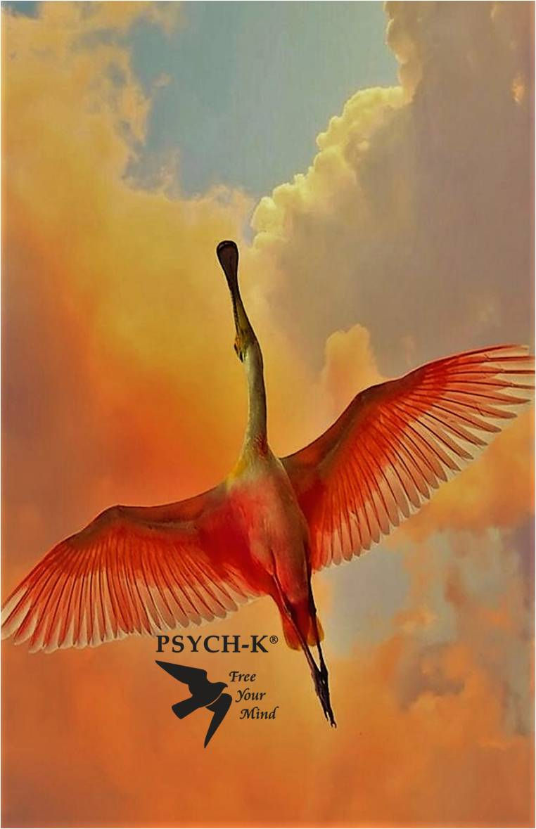 Stork flying