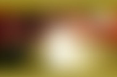 Special Offer, QHHT Session 13.02 -13.03