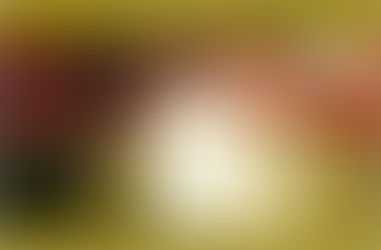 Special Offer, QHHT Session 13.02 -13.03