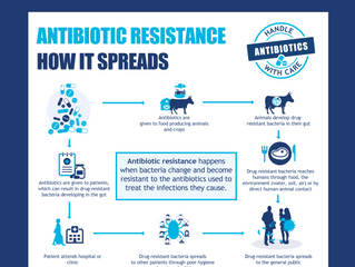 ANTIBIOTIC RESISTANCE HOW IT SPREADS