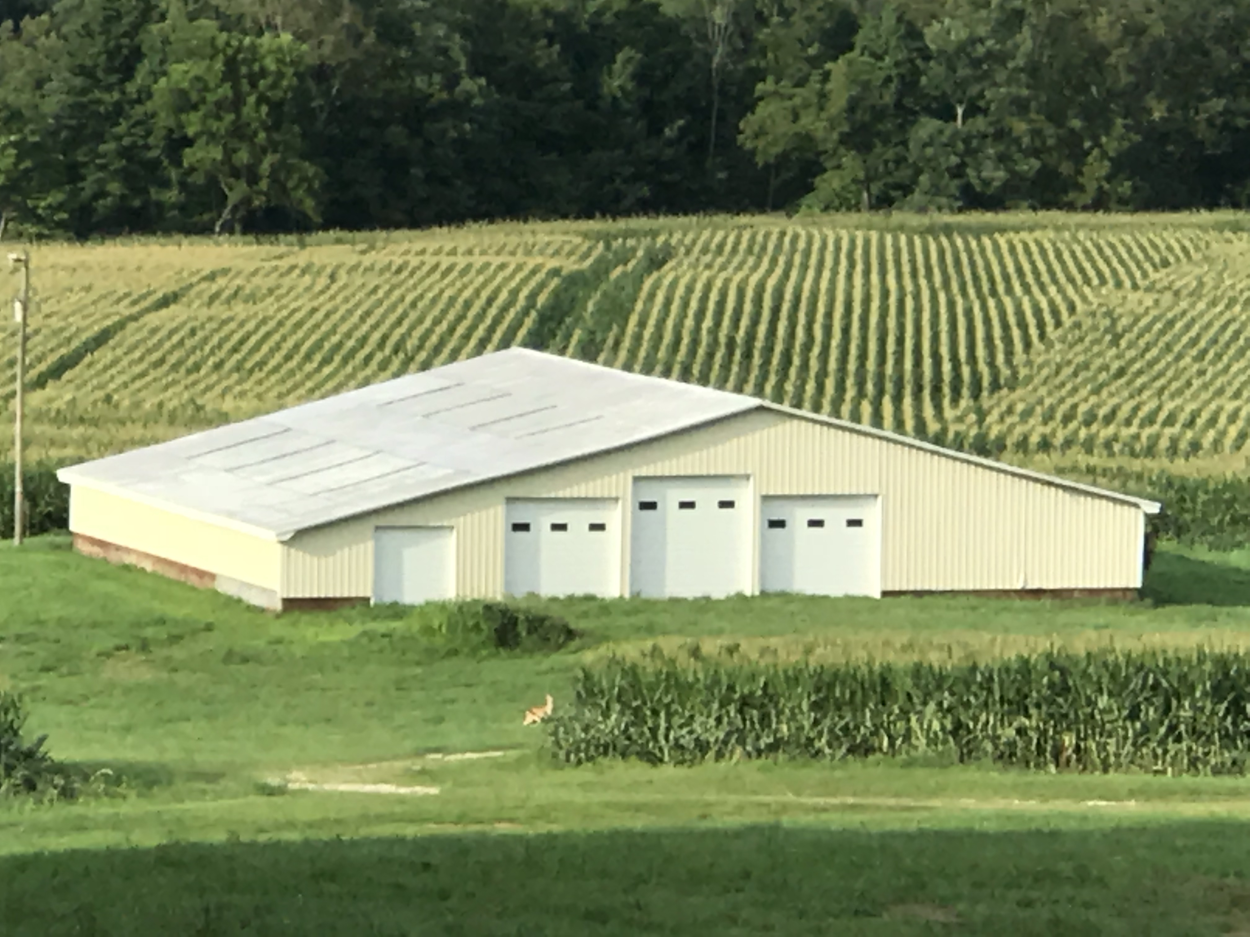 Walker Farms 425 Acres For Sale In Elizabethtown Ky Hardin County