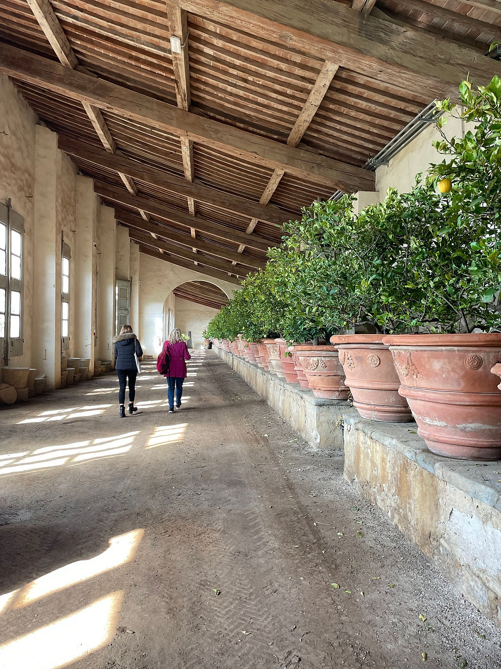 Lemon house, Giardino della Villa medicea di Castello