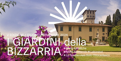 Banner_2_Bizzarria_2024_edited.jpg