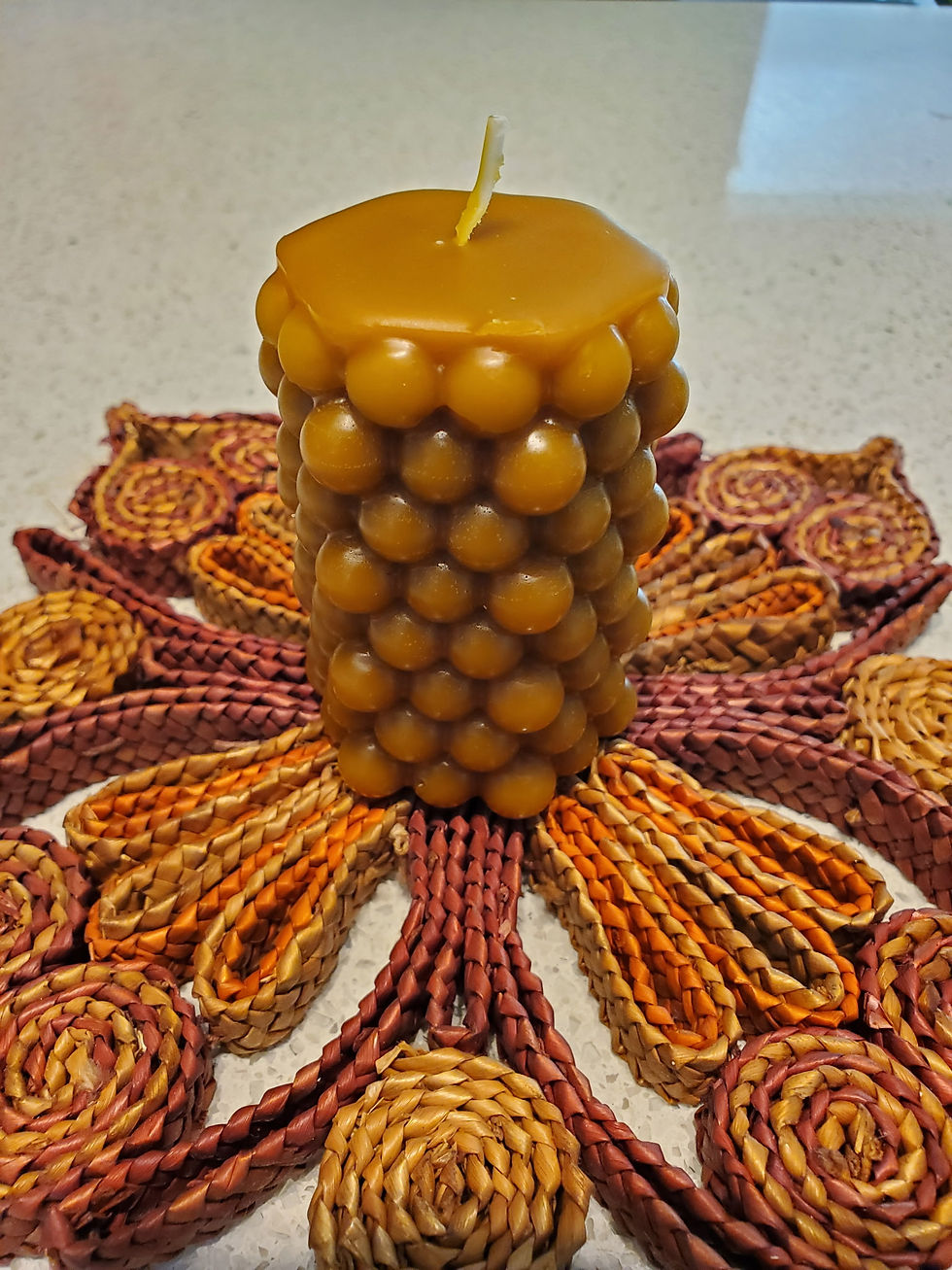 Beginner Beeswax Candle Making Workshop