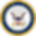 Emblem_of_the_United_States_Navy.svg.png