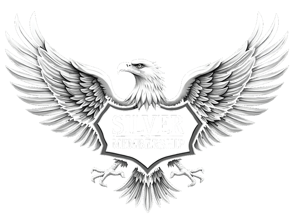 SILVER GIF.gif