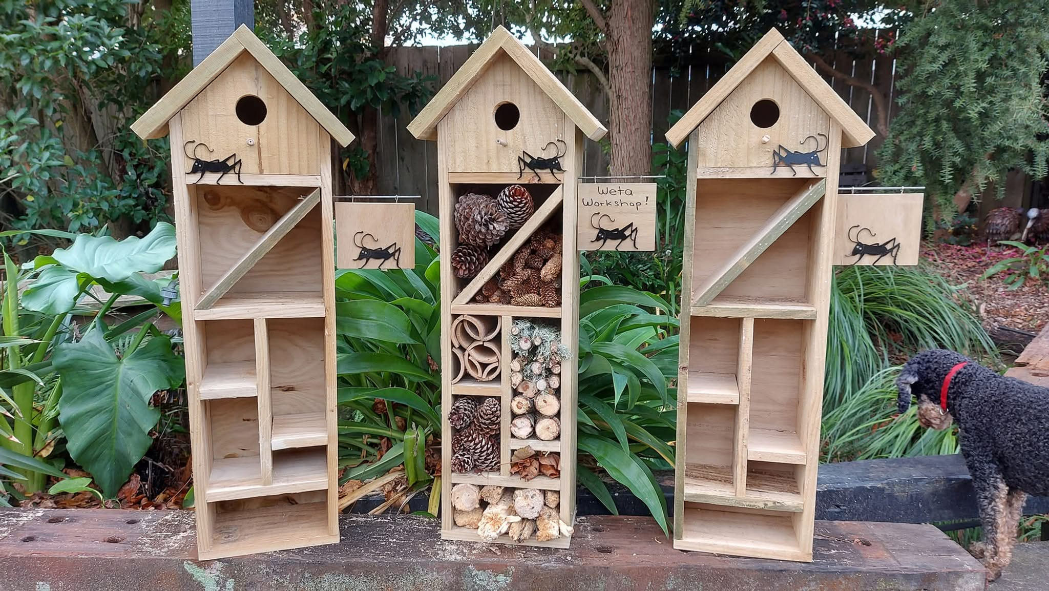 Bug House