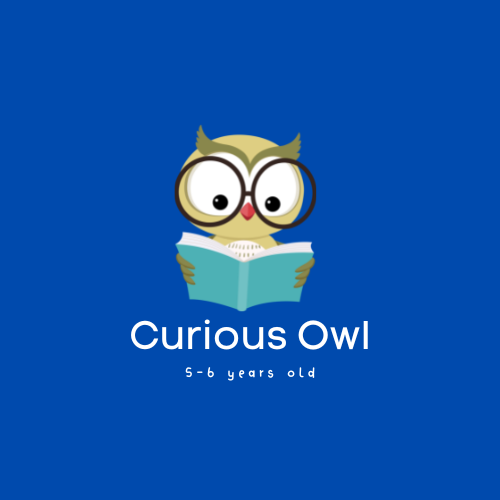 d3Djiii9Q96qgBMKyuZV_curious owl.webp